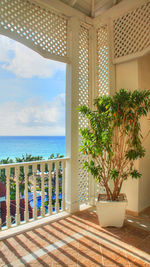 Potted plants by swimming pool against sky