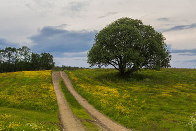 Scenic view of field against sky