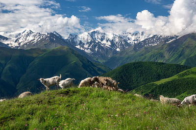 Scenic view of green mountains