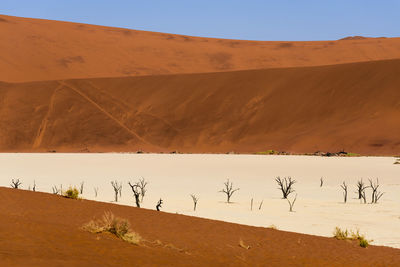 Scenic view of desert against clear sky