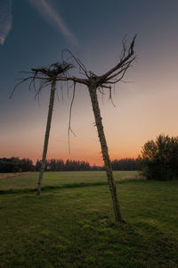 Scenic view of farm against sky during sunset