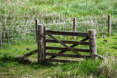 Wooden fence on field