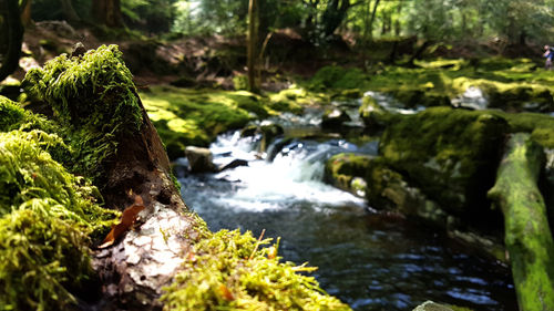 River flowing through rocks