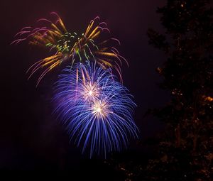 Low angle view of firework display