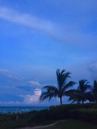 Silhouette palm trees by sea against sky