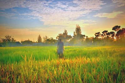 Man standing on field against sky during sunset