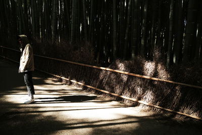 Rear view of woman walking on footpath in forest