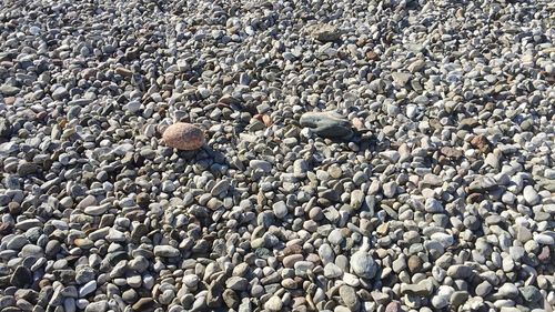 High angle view of stones on beach