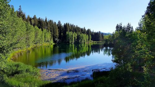 Scenic view of lake against clear sky
