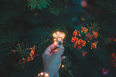 Close-up of hand holding illuminated light bulb against flowering plant