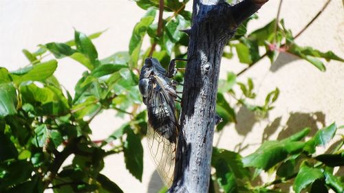 Bird perching on branch