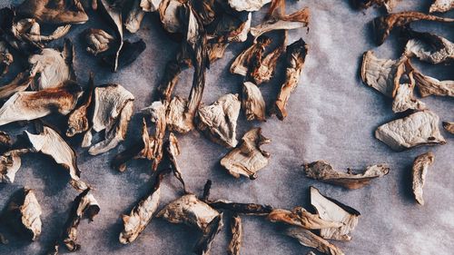 Full frame shot of dry leaves