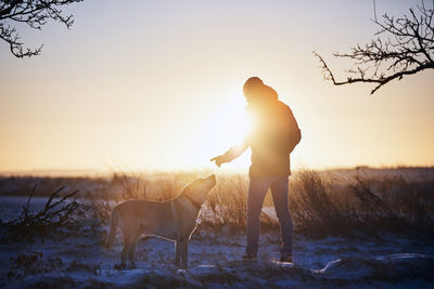 Man with dog during winter morning. pet owner learning obedinece his labrador retriever.