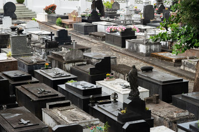 View of tombs in the campo santo cemetery in the city of salvador, bahia.