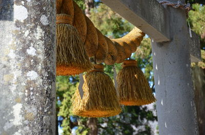 Sacred straw festoon hanging on concrete gate
