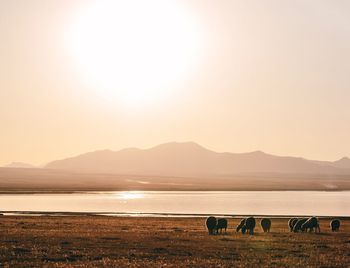 View of lake at sunset