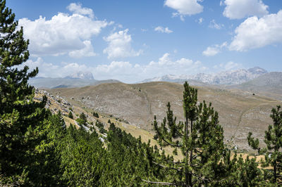 Panoramic view from rocca calascio on campo imperatore and the gran sasso massif