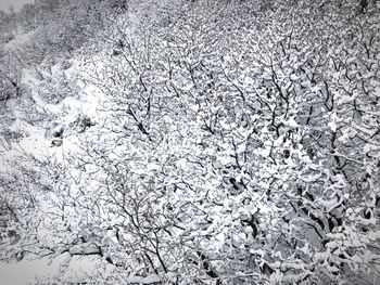 Full frame shot of snow