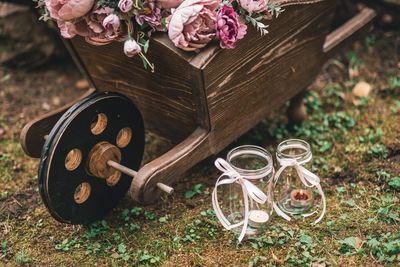 High angle view of flowering plants on field