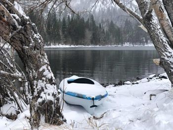 Snow covered trees by lake in forest