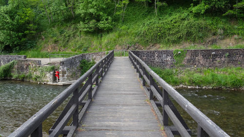 Footbridge over river amidst trees in forest