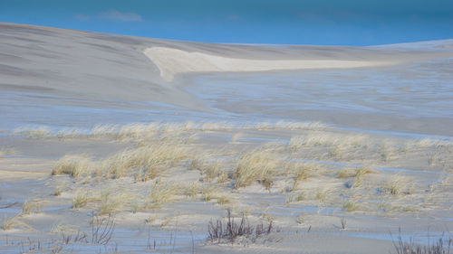 Scenic view of desert against sky during winter