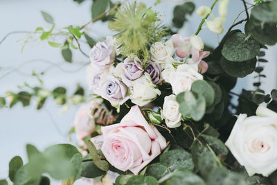 Close-up of white roses