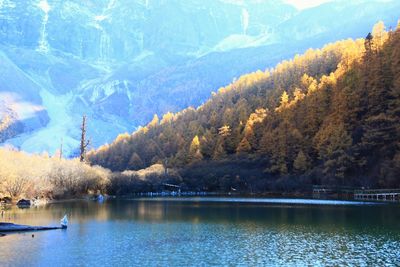 Scenic view of lake in forest during autumn