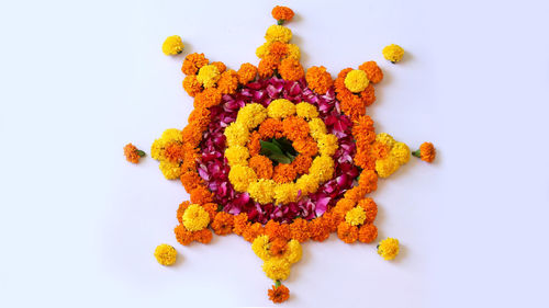 High angle view of multi colored flowers on white background