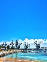 Reflection of trees in water