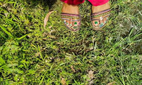 Low section of woman standing on plants