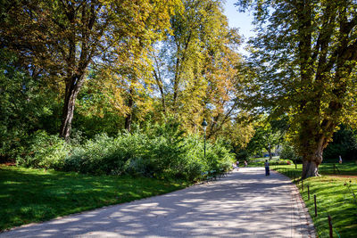 Road amidst trees in park during autumn