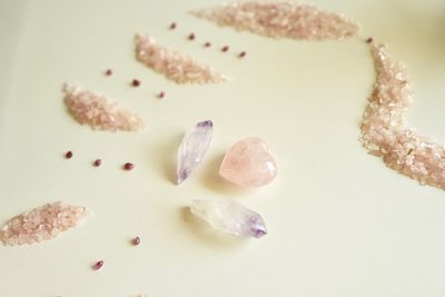 Close-up of cake against white background