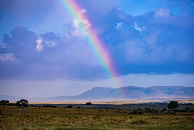 rainbow