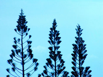 Low angle view of tree against clear blue sky