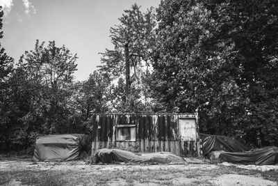 View of tent on field against trees in forest