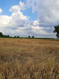 Scenic view of field against sky