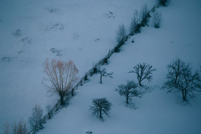 Bare trees on snow covered landscape