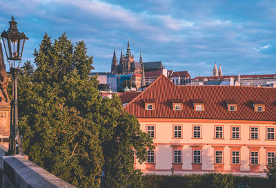 Trees and buildings against sky