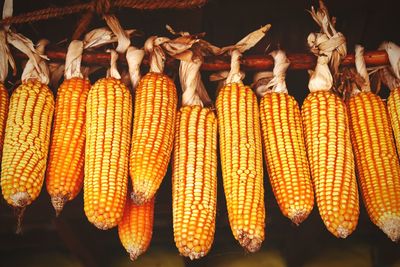 Close-up of corns for sale at market stall