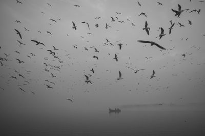 Flock of birds flying over river against sky at dusk