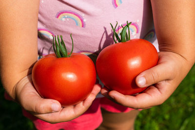 Midsection of a child holding tomatoes