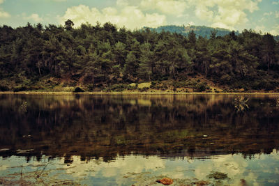 Reflection of trees in lake against sky