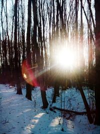 Trees on snow against sky during sunset