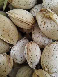 Full frame shot of nut - food for sale in market