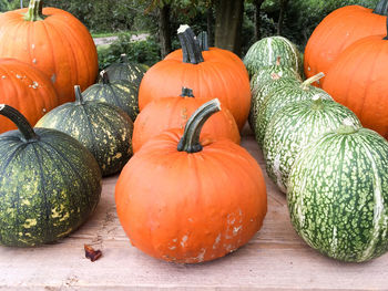 Close-up of pumpkins