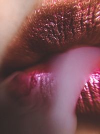 Close-up of pink eye