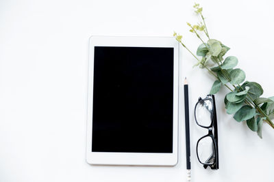 Directly above shot of potted plant on table against white background