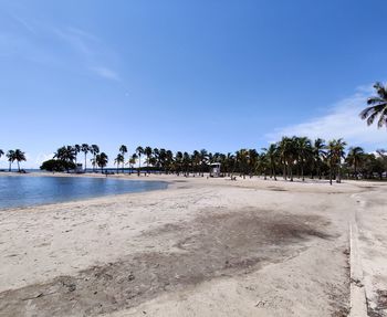 Scenic view of beach against sky miami