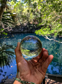 Close-up of hand holding crystal ball against trees